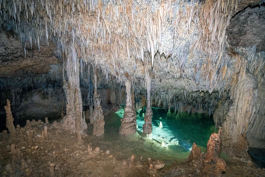 Stalactites in a Cave