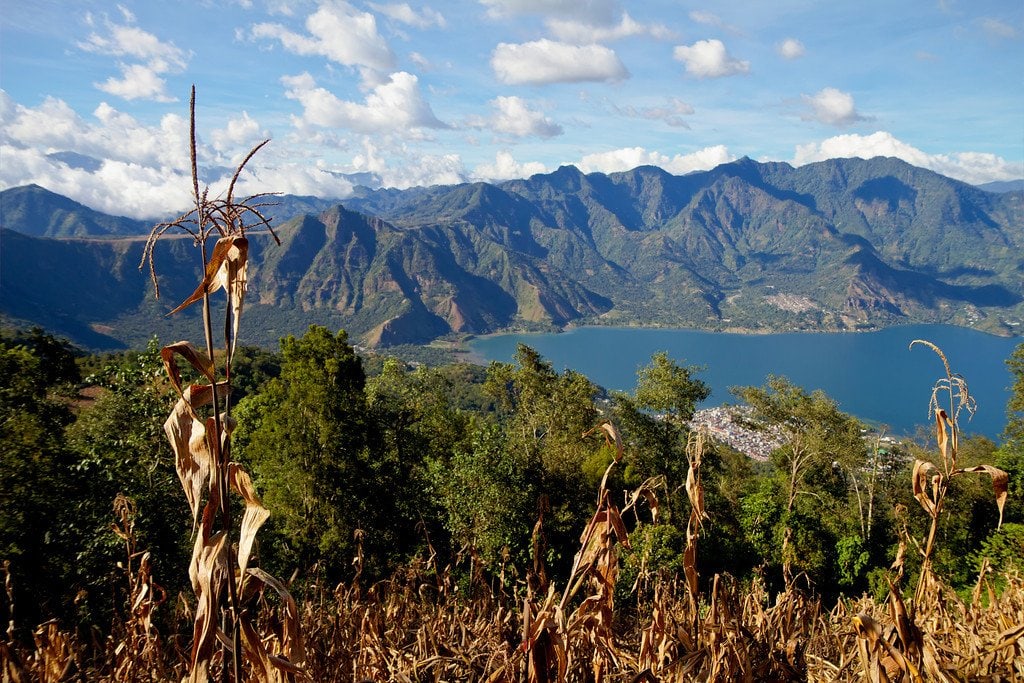 Volcano Cornfield