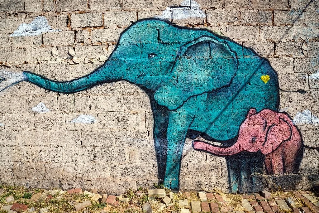 Street Art Soweto