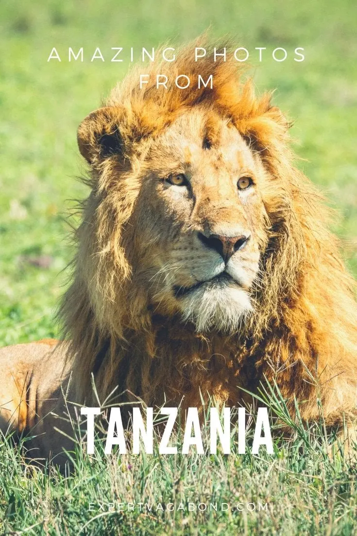 15 Photos That Will Make You Want To Visit Tanzania. More at expertvagabond.com