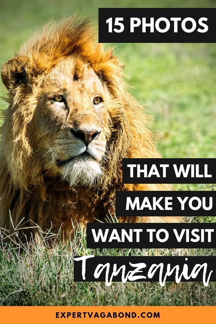 15 Photos That Will Make You Want To Visit Tanzania. More at expertvagabond.com