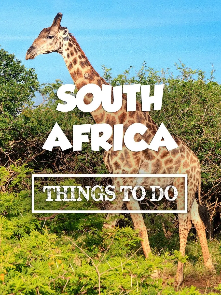 10 Super Fun Things To Do In South Africa. More at expertvagabond.com 