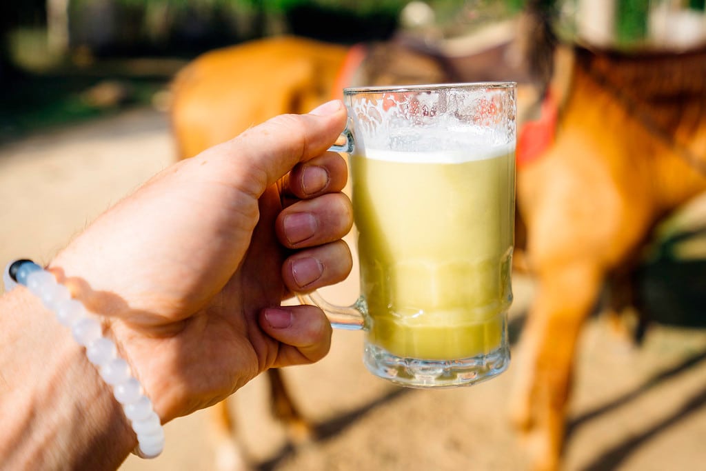 Fresh Guarapo Frio (sugar cane juice) Sugar cane juice in Trinidad